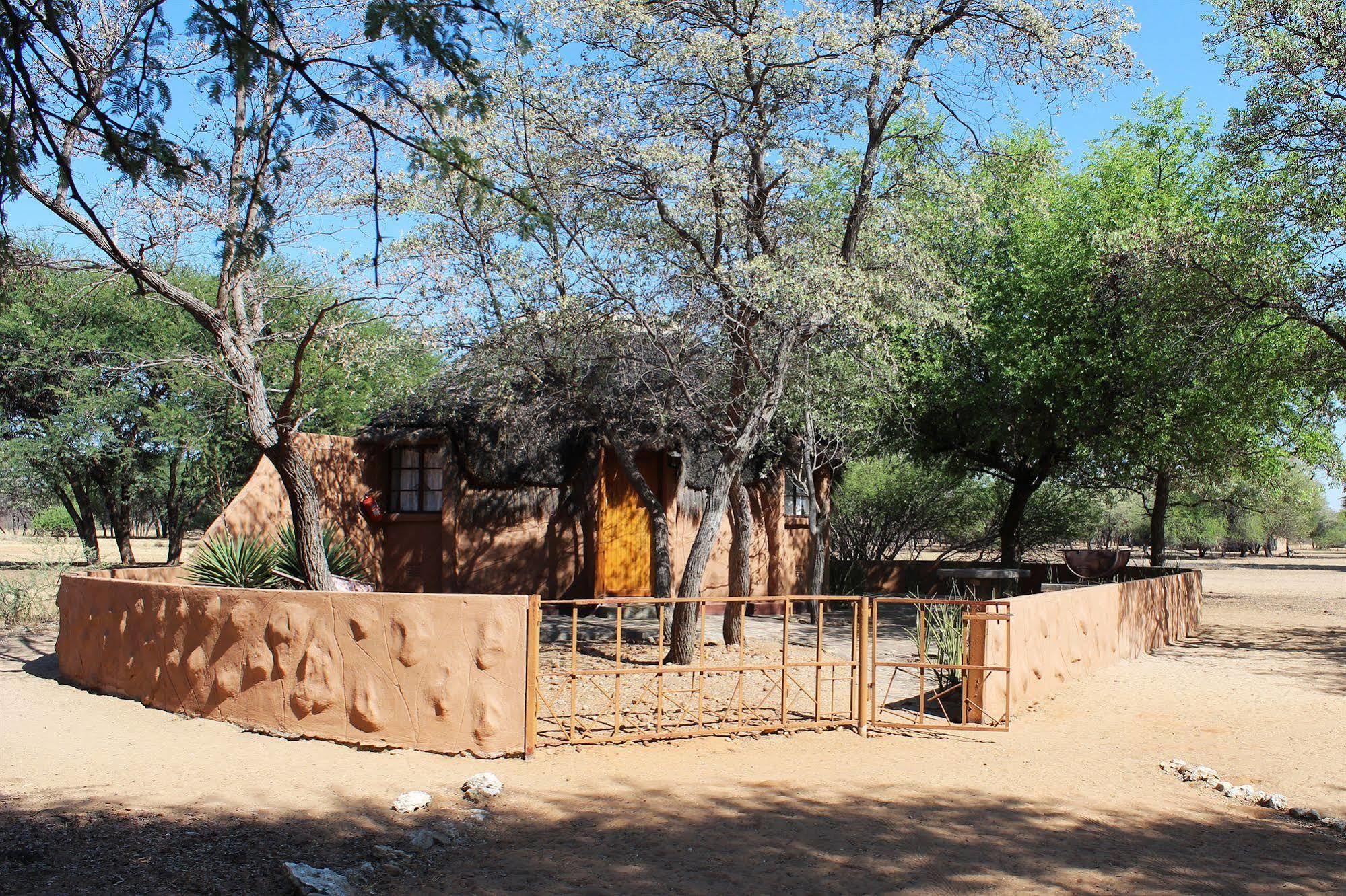 Harnas Wildlife Foundation Gobabis Exterior photo